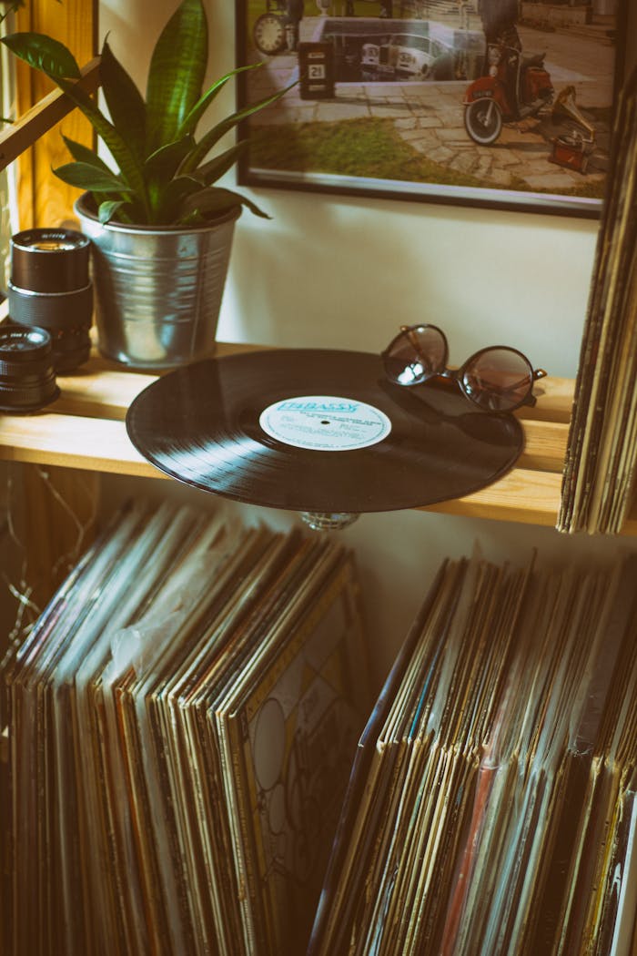 services-bg Vintage shelf with vinyl records, sunglasses, and a potted plant adding a retro vibe.